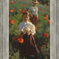 Poppies