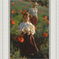 Poppies
