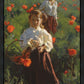 Poppies