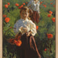 Poppies
