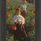 Poppies
