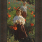 Poppies