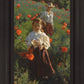 Poppies