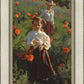 Poppies
