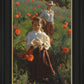 Poppies