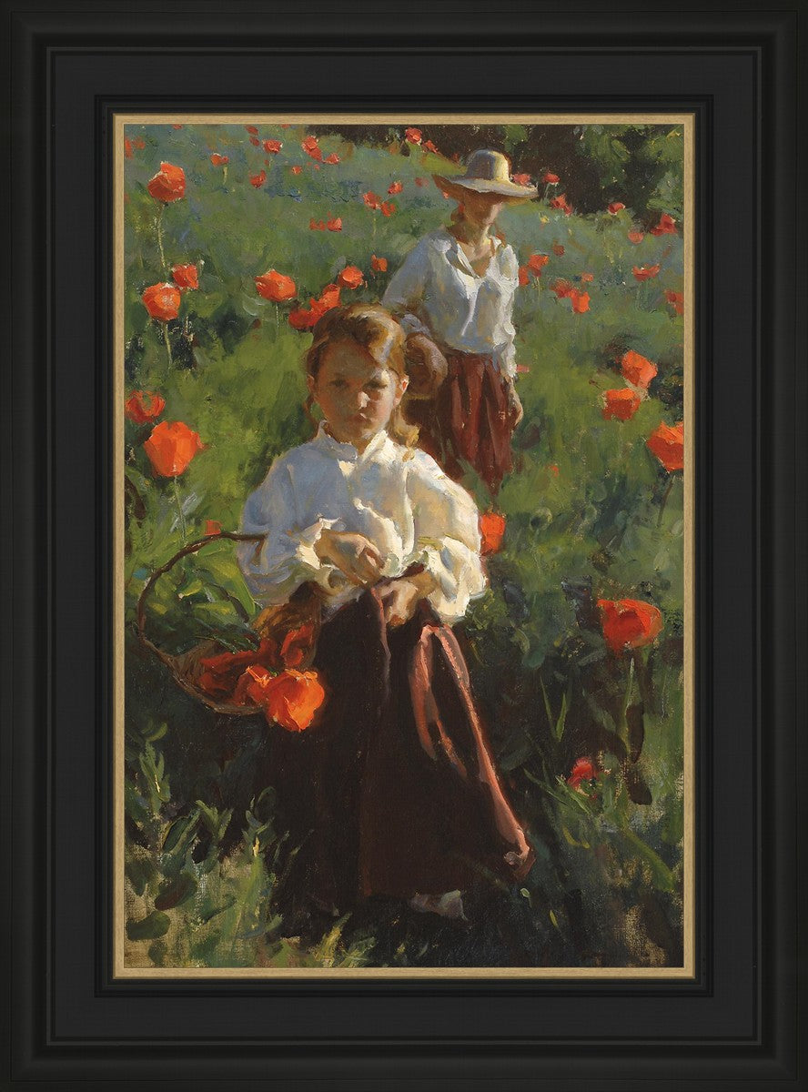 Poppies