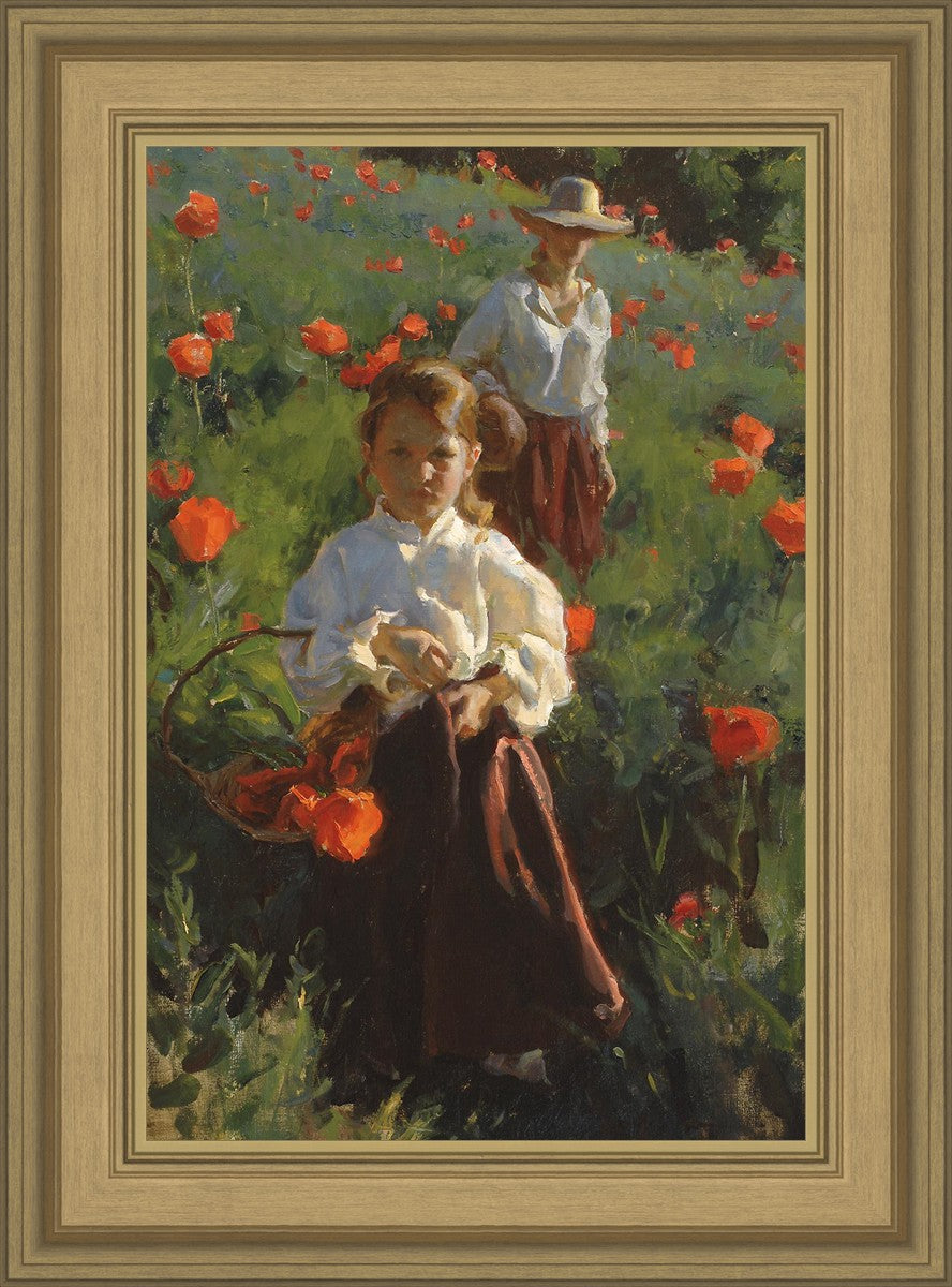 Poppies