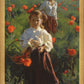 Poppies