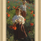 Poppies