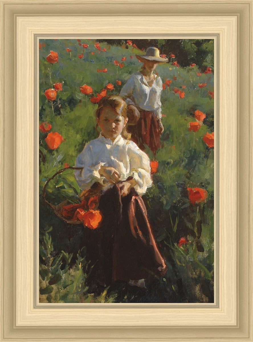 Poppies