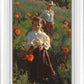 Poppies