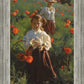 Poppies