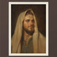 Beloved Son
