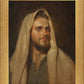 Beloved Son