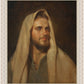 Beloved Son