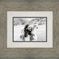 The Shepherd