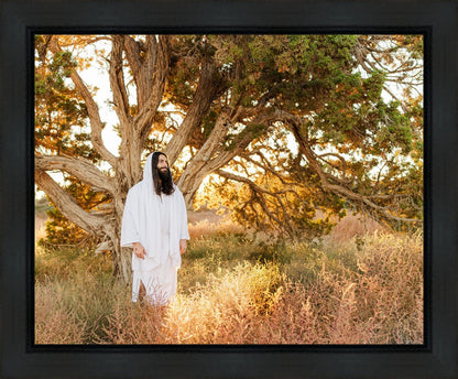 Our Tree of Life Gallery Wrap