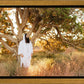 Our Tree of Life