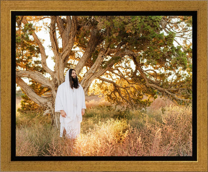 Our Tree of Life Gallery Wrap