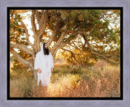 Our Tree of Life Gallery Wrap