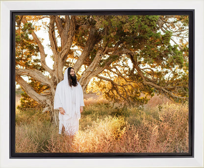 Our Tree of Life Gallery Wrap