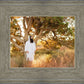 Our Tree of Life