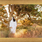 Our Tree of Life