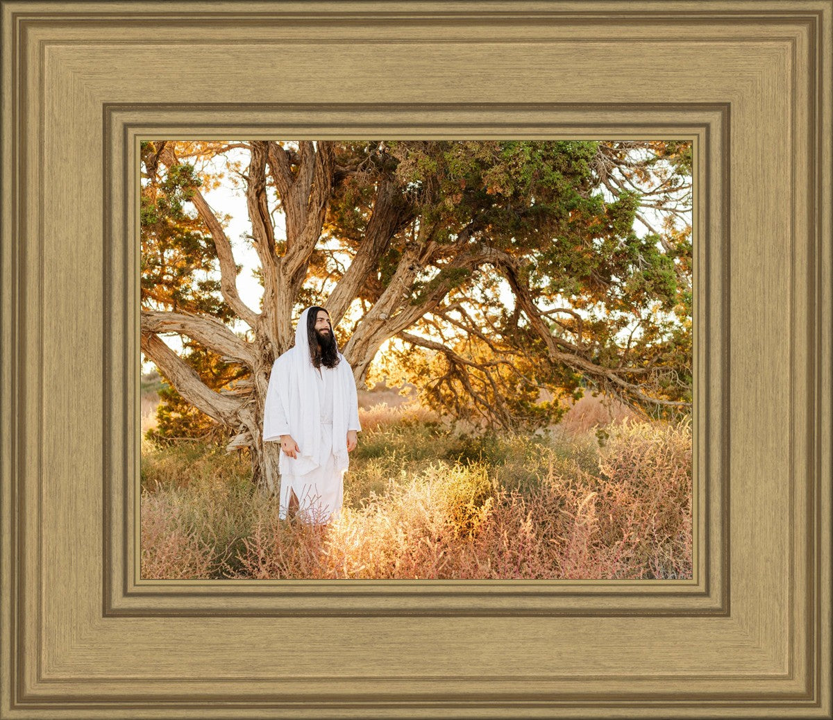 Our Tree of Life