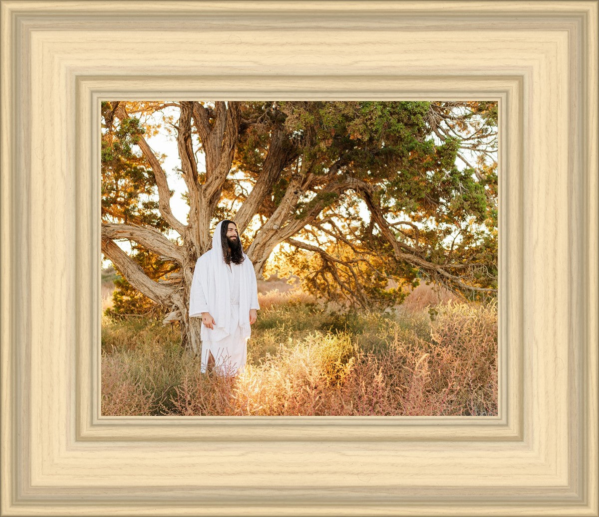 Our Tree of Life