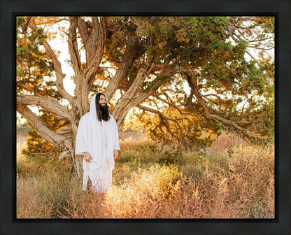 Our Tree of Life Gallery Wrap