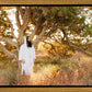 Our Tree of Life
