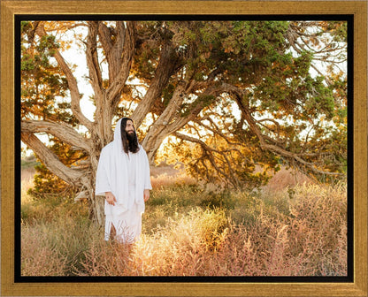 Our Tree of Life Gallery Wrap