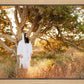 Our Tree of Life