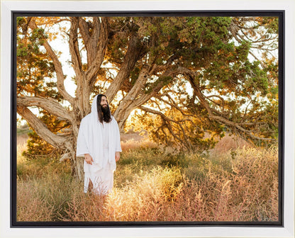 Our Tree of Life Gallery Wrap