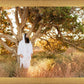 Our Tree of Life