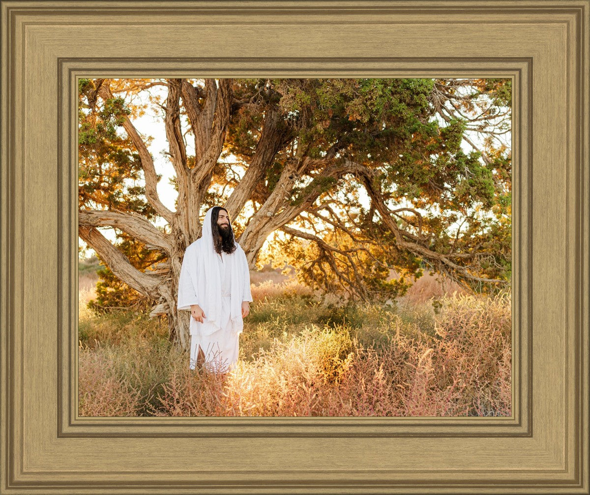 Our Tree of Life