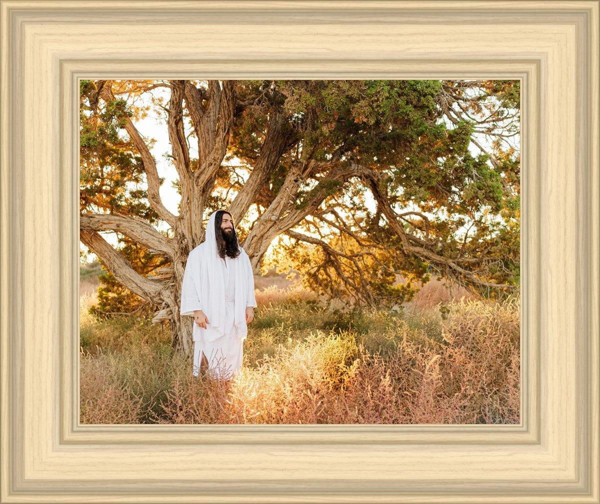 Our Tree of Life