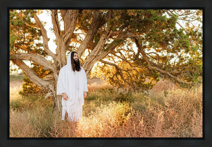 Our Tree of Life Gallery Wrap