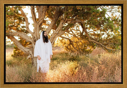 Our Tree of Life Gallery Wrap