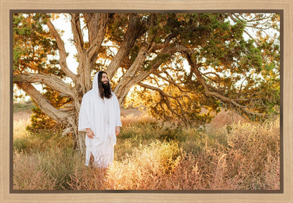 Our Tree of Life Gallery Wrap