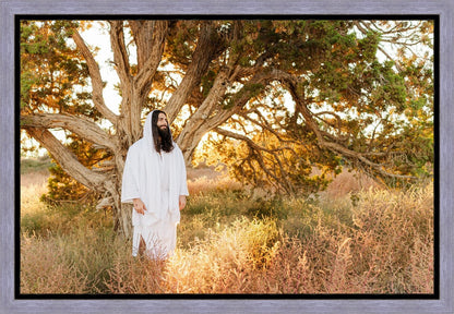 Our Tree of Life Gallery Wrap