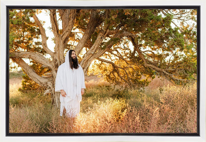 Our Tree of Life Gallery Wrap