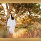Our Tree of Life