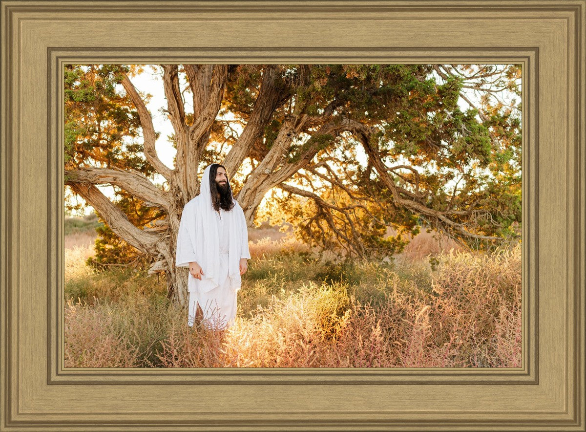 Our Tree of Life