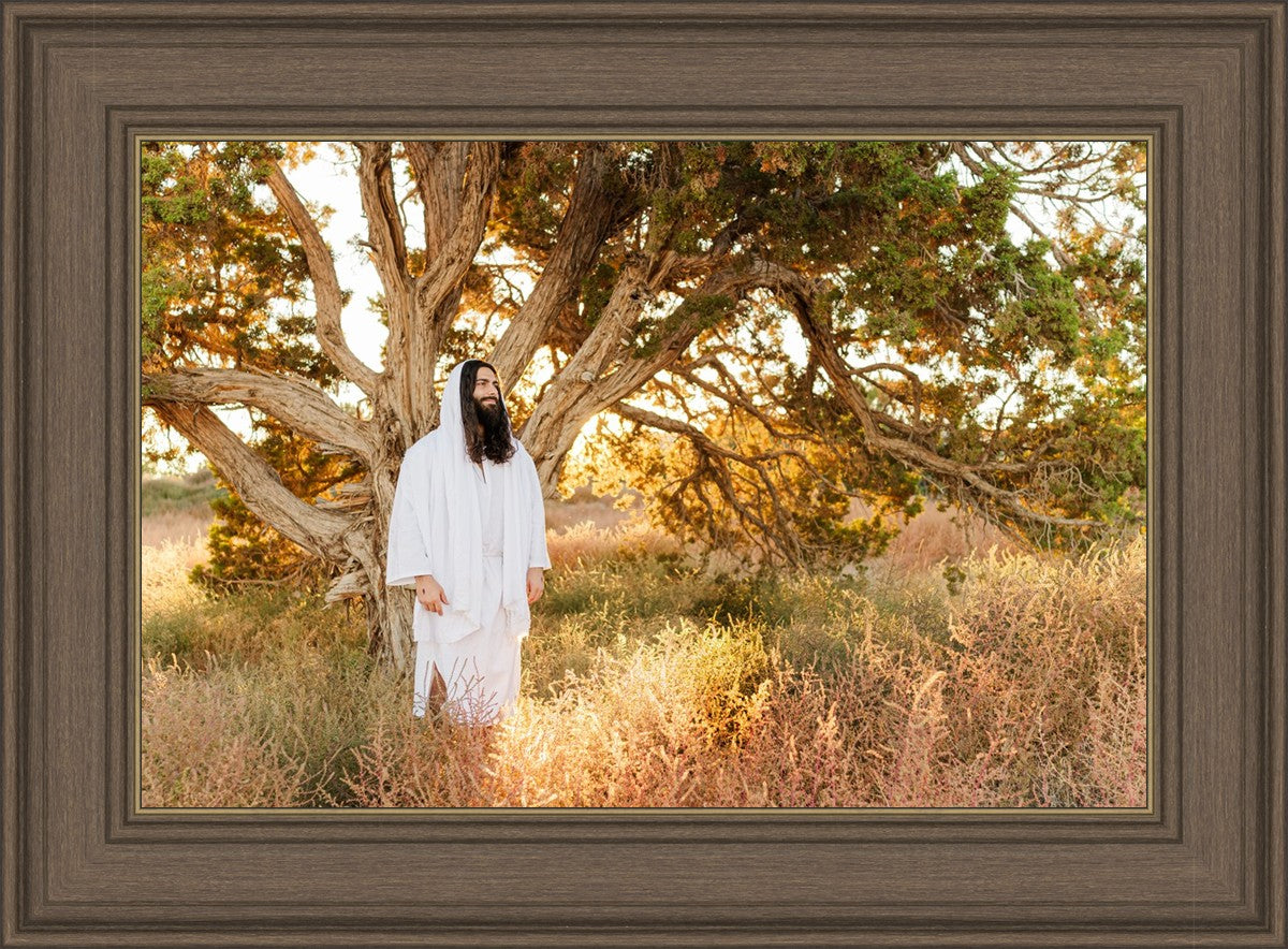 Our Tree of Life
