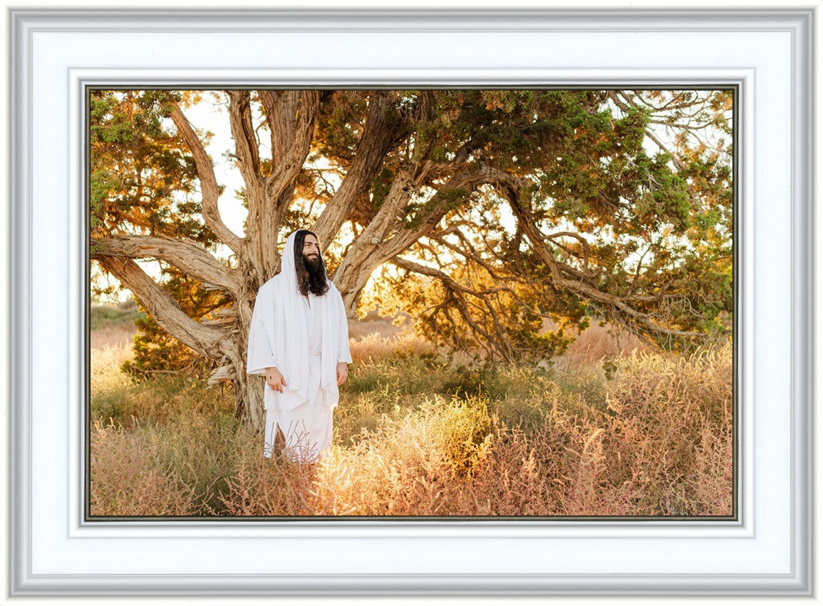 Our Tree of Life