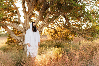 Our Tree of Life Gallery Wrap