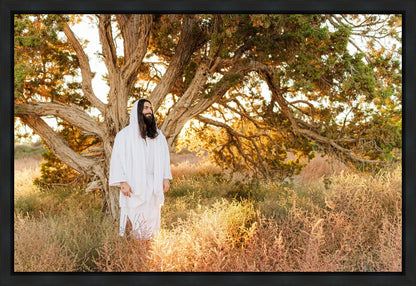 Our Tree of Life Gallery Wrap