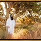 Our Tree of Life