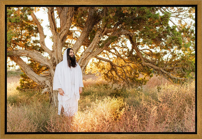 Our Tree of Life Gallery Wrap